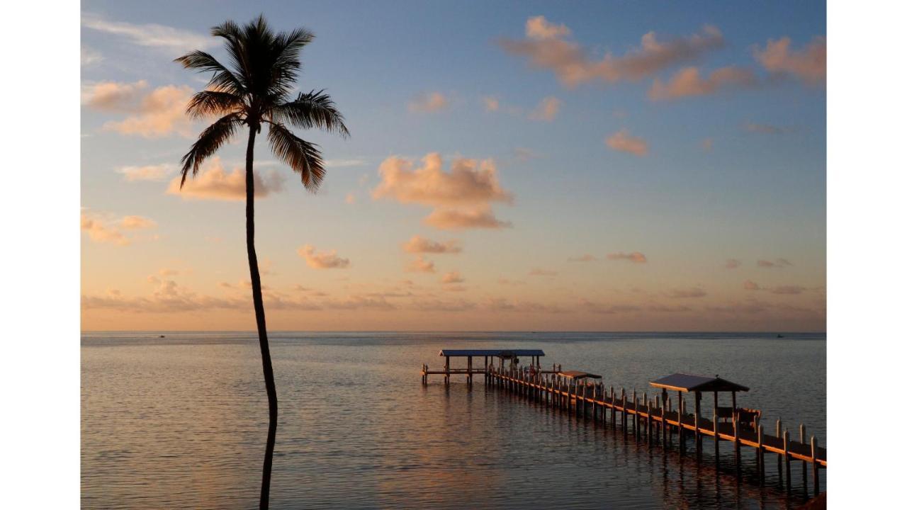 Cheeca Lodge & Spa Islamorada Εξωτερικό φωτογραφία Sunset at the pier